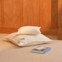 Charger l'image dans la galerie, Le grand coussin