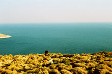 Charger l'image dans la galerie, Grand tirage photo (93x66cm)