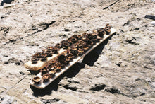 Charger l'image dans la galerie, Grand tirage photo (93x66cm)