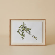 Charger l'image dans la galerie, Les fleurs aquarellées