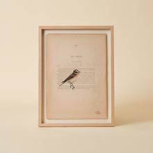 Charger l'image dans la galerie, Le Bestiaire