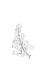 Charger l'image dans la galerie, Les esquisses de fleurs - Atelier Lamarck