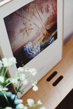 Charger l'image dans la galerie, Le banc