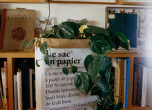 Charger l'image dans la galerie, Le sac en papier 33L x5