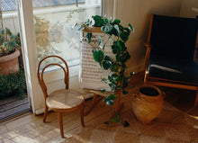 Charger l'image dans la galerie, Le sac en papier 33L x5