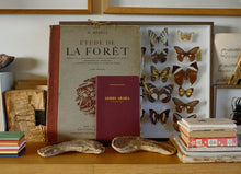 Charger l'image dans la galerie, Portraits de Villes