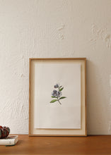 Charger l'image dans la galerie, Les fleurs aquarellées