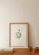 Charger l'image dans la galerie, Les fleurs aquarellées