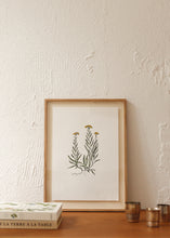 Charger l'image dans la galerie, Les fleurs aquarellées