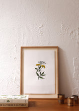 Charger l'image dans la galerie, Les fleurs aquarellées