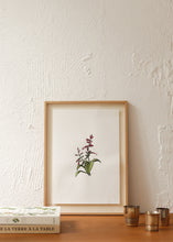 Charger l'image dans la galerie, Les fleurs aquarellées