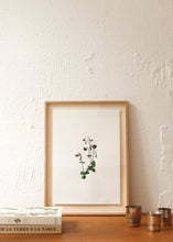 Charger l'image dans la galerie, Les fleurs aquarellées