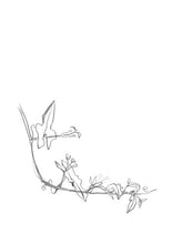 Charger l'image dans la galerie, Les esquisses de fleurs - Atelier Lamarck
