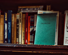 Charger l'image dans la galerie, Portraits de Villes